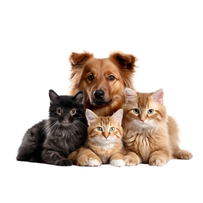 Logotipo de la veterinaria